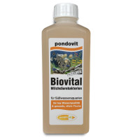 Milchs&auml;urebakterien Biovital - 250 ml