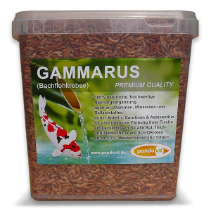 Gammarus (Bachflohkrebse)  5000 ml