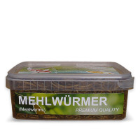 Mehlwürmer 1200 ml